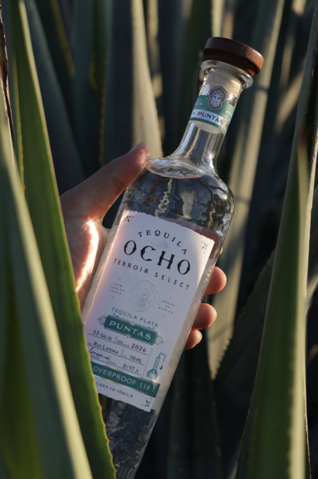 TEQUILA OCHO PLATA PUNTAS MIRANDILLAS 2024